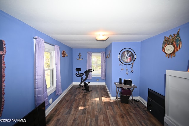 miscellaneous room featuring dark hardwood / wood-style flooring