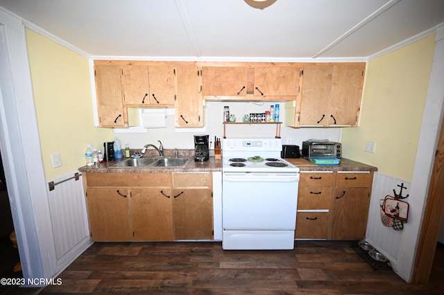 kitchen with electric stove, sink, and dark wood-type flooring