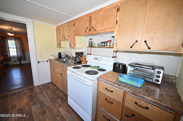 kitchen featuring white electric stove, sink, and dark wood-type flooring