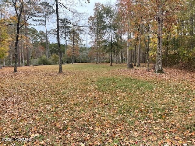 Listing photo 2 for LOT97 Winfield Ln Unit 97, Pinetown NC 27865