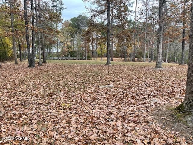 Listing photo 3 for LOT97 Winfield Ln Unit 97, Pinetown NC 27865