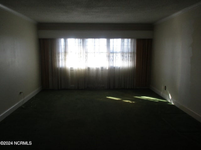 spare room with carpet and ornamental molding