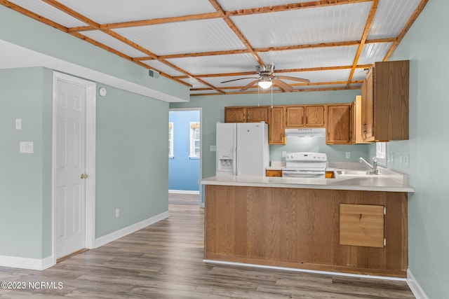 kitchen with light wood-type flooring, white appliances, ceiling fan, and sink