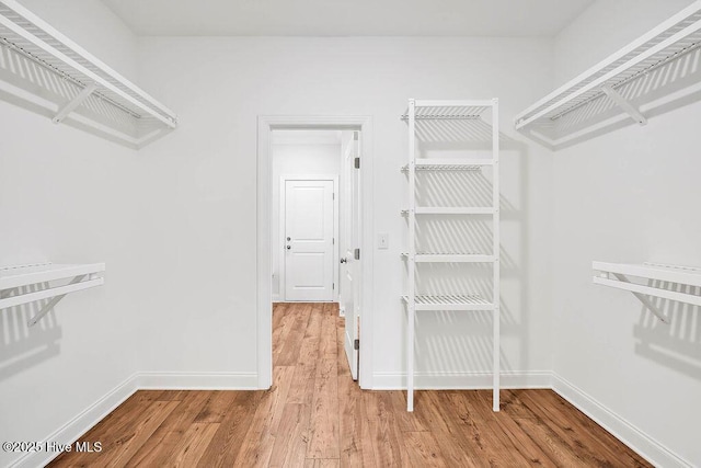 spacious closet with light wood-type flooring