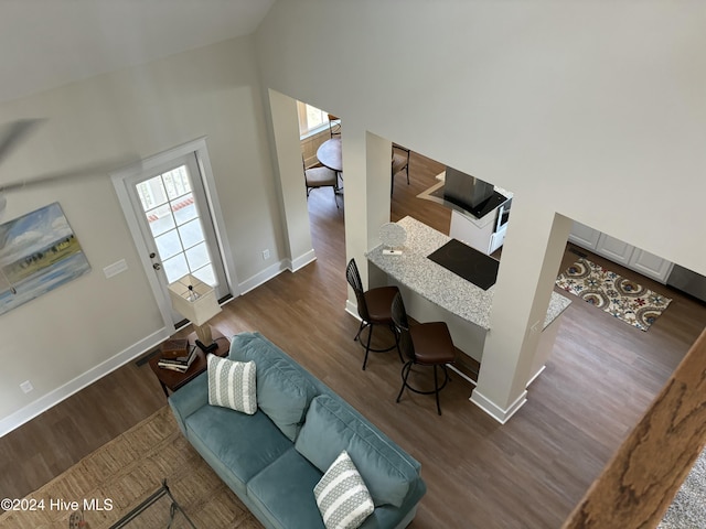 living room featuring wood-type flooring and high vaulted ceiling