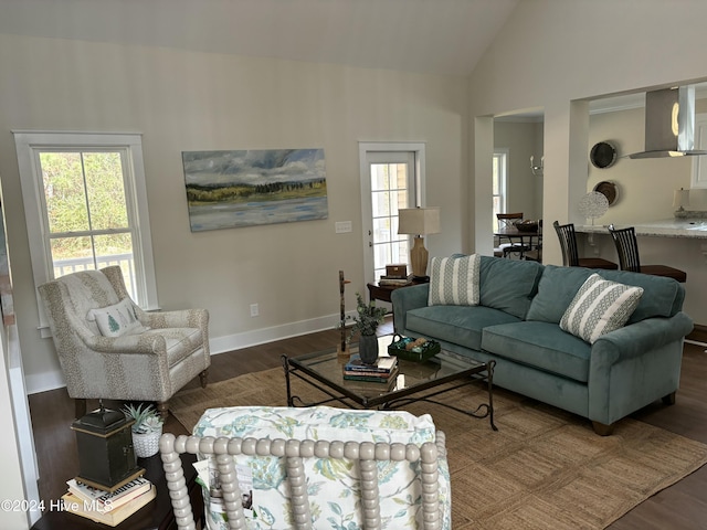 living room with dark wood-type flooring and lofted ceiling