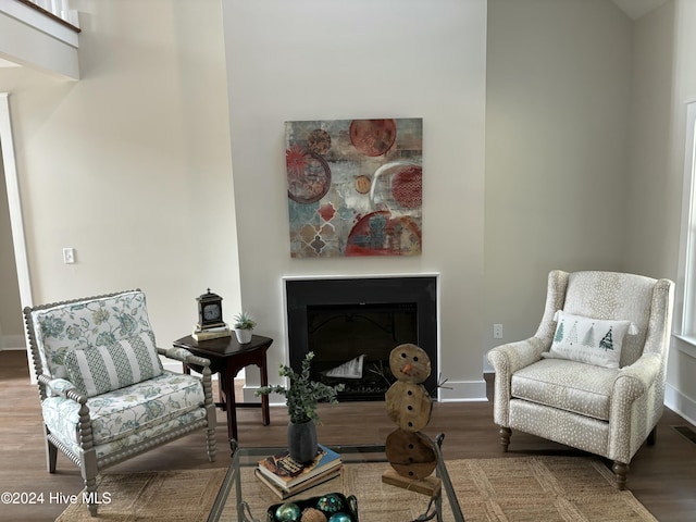 sitting room featuring hardwood / wood-style floors