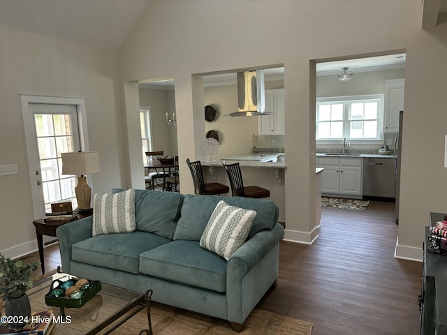 living room featuring sink, a healthy amount of sunlight, and dark hardwood / wood-style floors