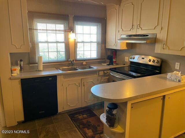 kitchen with electric stove, dishwasher, ventilation hood, light countertops, and a sink