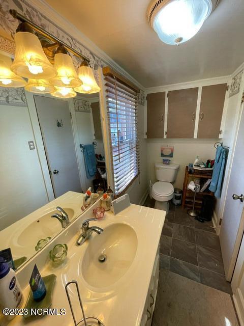 bathroom with crown molding, vanity, and toilet