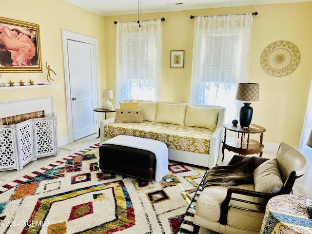 living room featuring crown molding