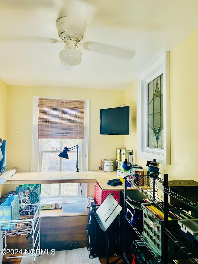 interior space with ceiling fan