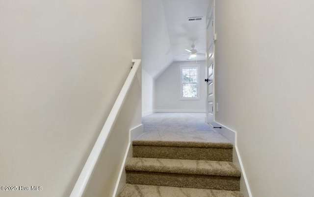 staircase with ceiling fan, lofted ceiling, visible vents, baseboards, and carpet