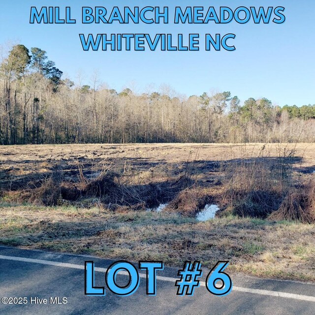 1818 Harrelsonville Rd Unit 6, Whiteville NC, 28472 land for sale