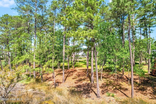 72 Oyster Point Rd Unit 38, Oriental, NC 28571