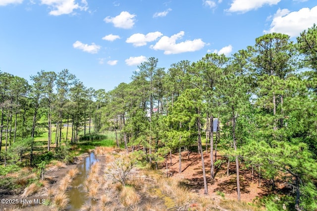 72 Oyster Point Rd Unit 38, Oriental, NC 28571