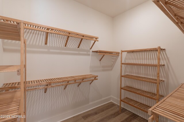 spacious closet featuring wood-type flooring