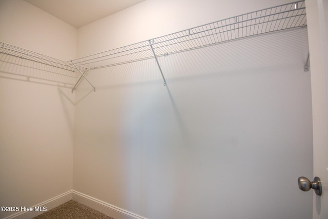 spacious closet featuring carpet floors