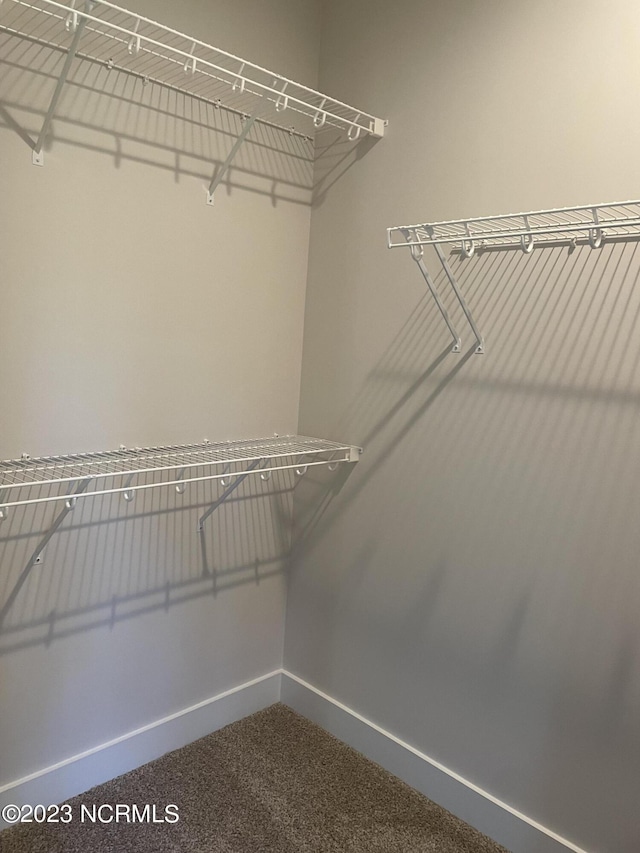 spacious closet featuring dark colored carpet