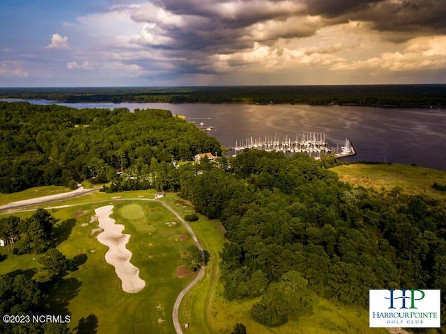 drone / aerial view with a forest view and a water view