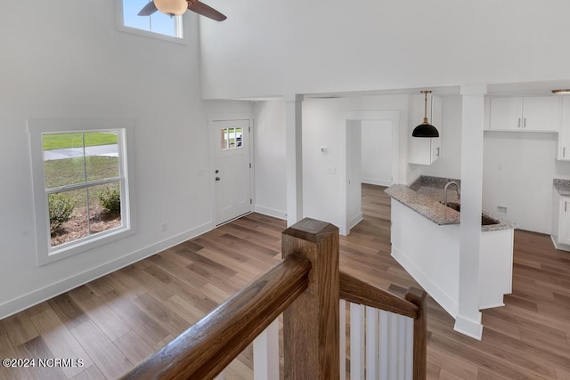 interior space featuring wood-type flooring, a wealth of natural light, sink, and ceiling fan