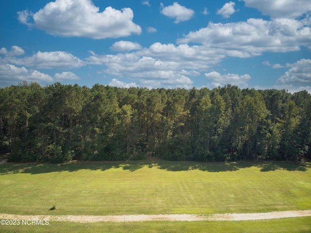 Listing photo 3 for LOT17 Harbour Dr Unit 17, Tabor City NC 28463