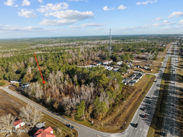 TRACT2 Christian Chapel Rd, Hampstead NC, 28443 land for sale