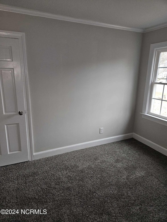 carpeted empty room featuring crown molding