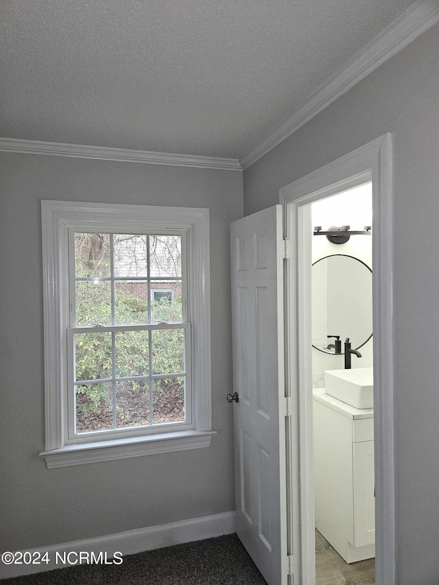 interior space with vanity, ornamental molding, and a textured ceiling