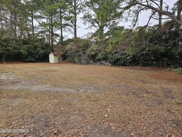 view of yard with a storage unit