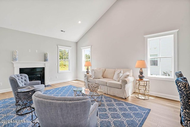 living room featuring high vaulted ceiling and light hardwood / wood-style flooring