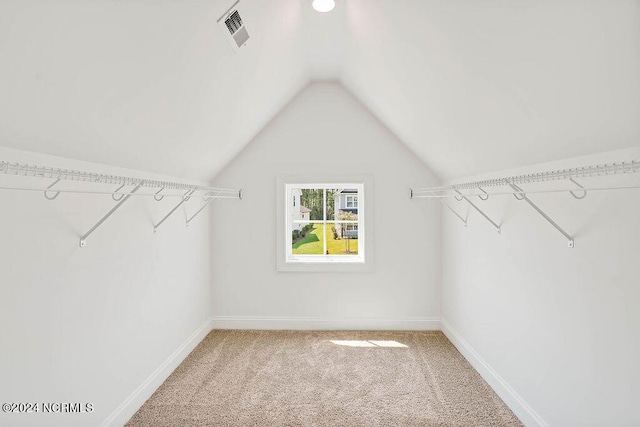 spacious closet featuring carpet and lofted ceiling