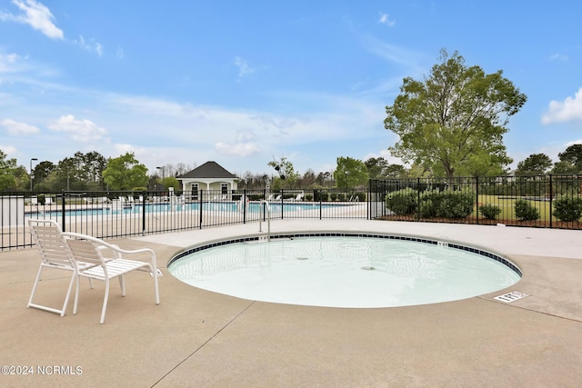 view of swimming pool with a patio