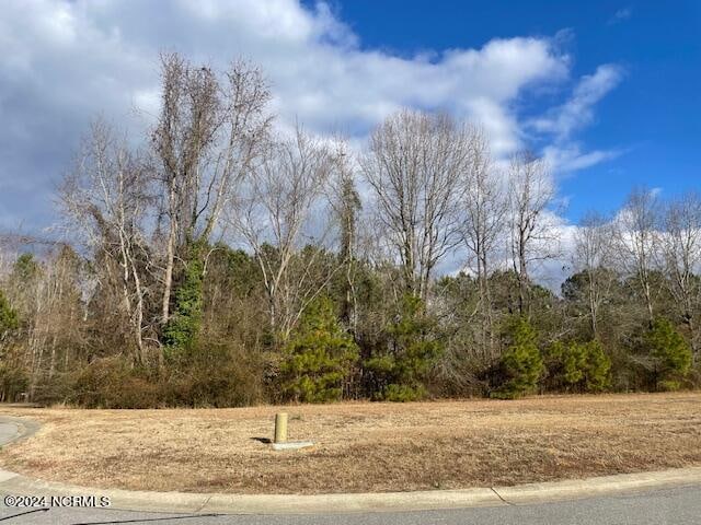 2599 Belmont Lake Dr, Rocky Mount NC, 27804 land for sale