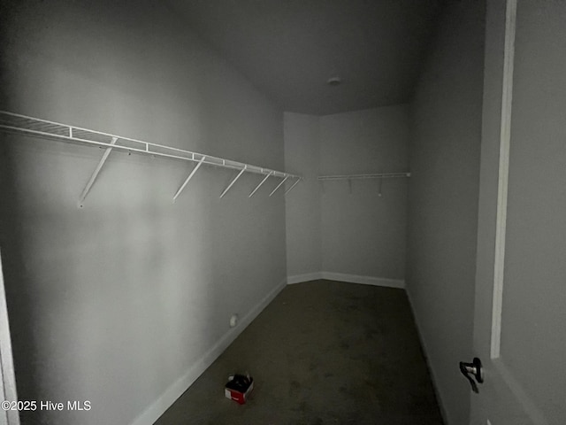 1224 Mandevilla Dr SE, Bolivia, NC 28422 - spacious closet with carpet flooring