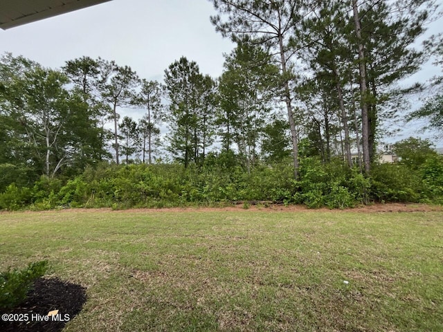 1224 Mandevilla Dr SE, Bolivia, NC 28422 - view of grassy yard