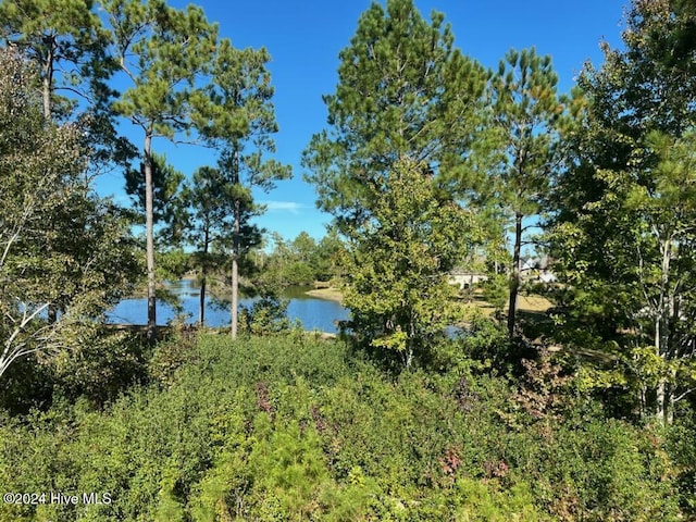 1224 Mandevilla Dr SE, Bolivia, NC 28422 - water view