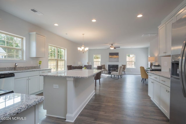 1224 Mandevilla Dr SE, Bolivia, NC 28422 - kitchen with a glass covered fireplace, stainless steel appliances, plenty of natural light, dark wood-style flooring, and recessed lighting
