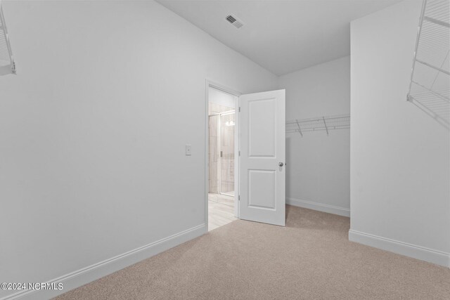 spacious closet with light colored carpet