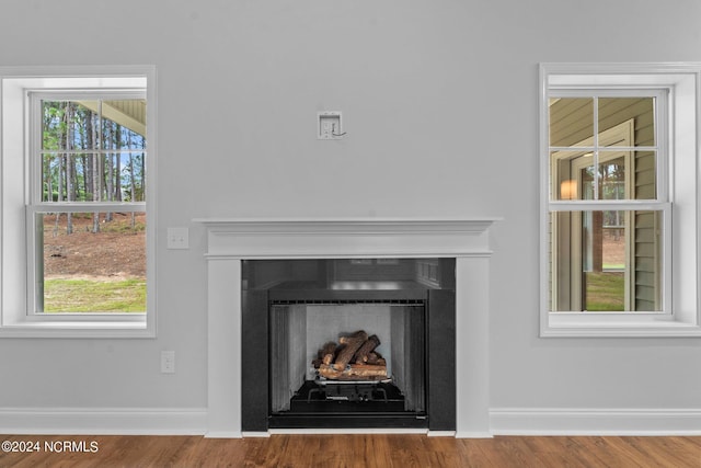 details featuring a fireplace, baseboards, and wood finished floors