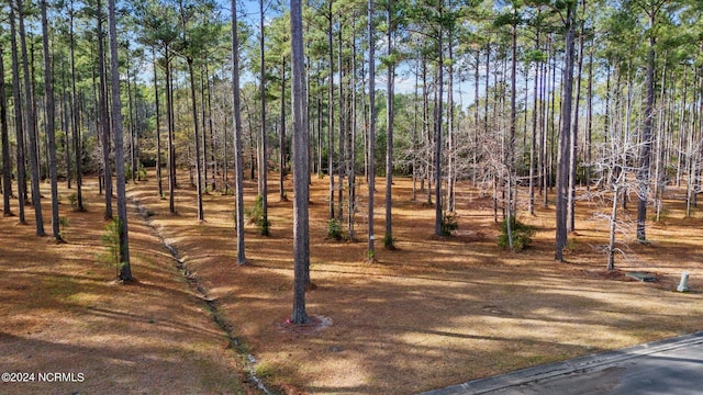 Listing photo 2 for 137 Ocracoke Dr Lot 31, Oriental NC 28571