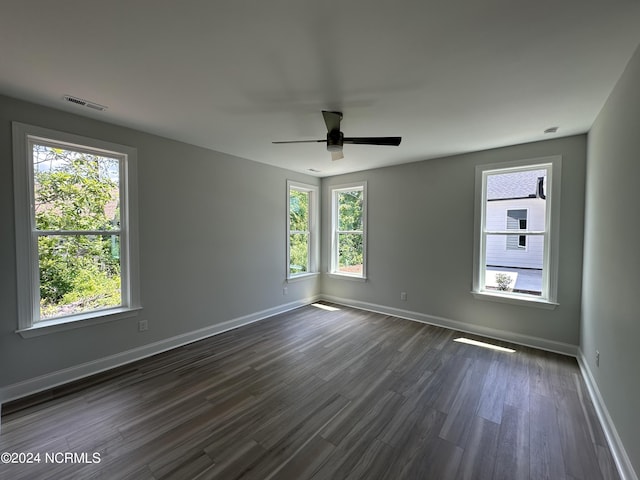 spare room with a healthy amount of sunlight, baseboards, and dark wood-type flooring