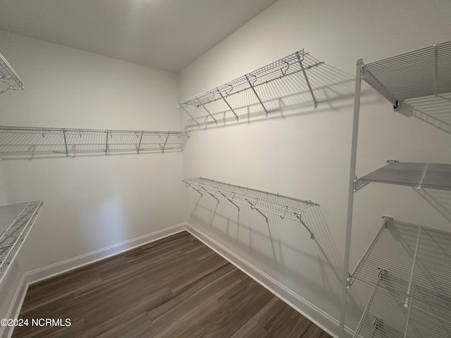 walk in closet with dark wood-type flooring