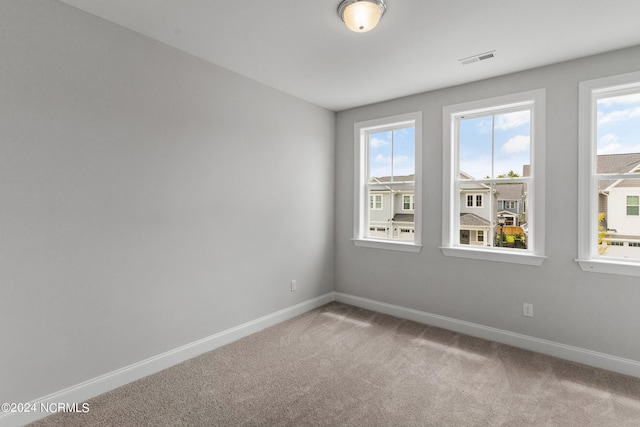 unfurnished room with carpet and a wealth of natural light