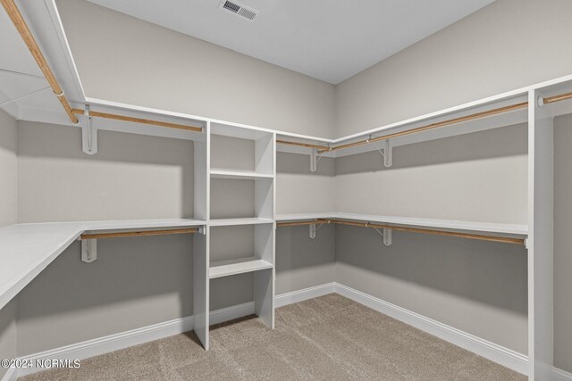 spacious closet with carpet floors