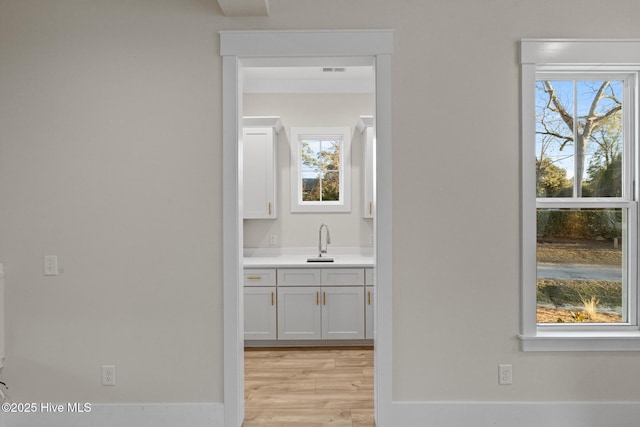 interior space with hardwood / wood-style floors, vanity, and a wealth of natural light