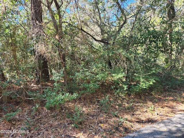 52 Fort Holmes Trl, Bald Head Island NC, 28461 land for sale