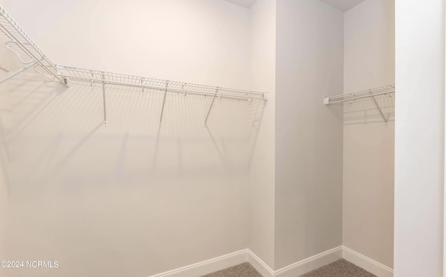 1225 Mandevilla Dr SE, Bolivia, NC 28422 - walk in closet featuring carpet