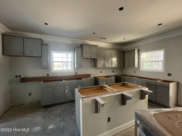 1225 Mandevilla Dr SE, Bolivia, NC 28422 - kitchen featuring a center island, gray cabinetry, plenty of natural light, and crown molding
