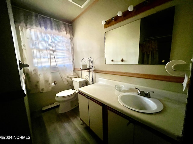 bathroom with toilet, vanity, and wood-type flooring